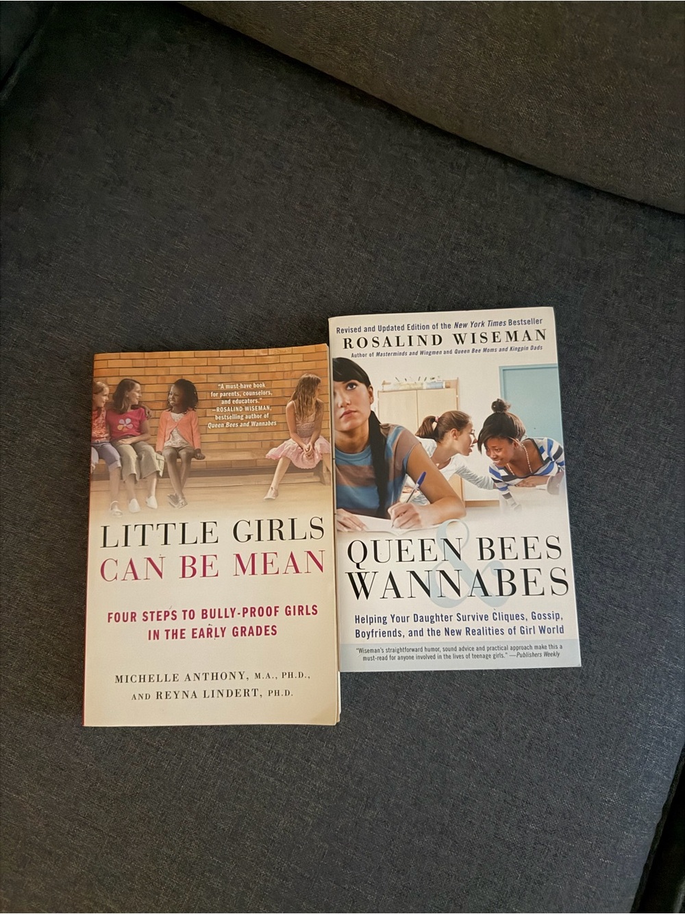 Little Girls Can Be Mean & Queen Bees and Wannabes - Set